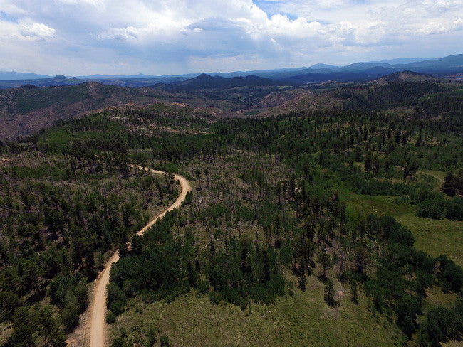 AROLLA Placer Mining Claim, Dorris Topaz, Park County, Colorado