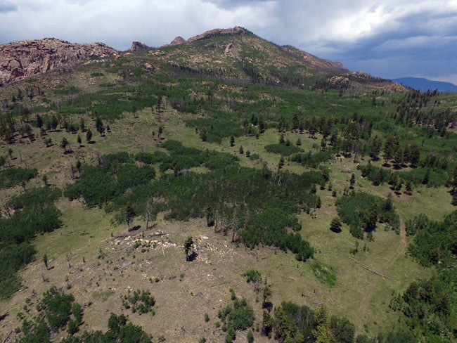 DAMMA MINE Placer Mining Claim, Dorris Topaz, Park County, Colorado