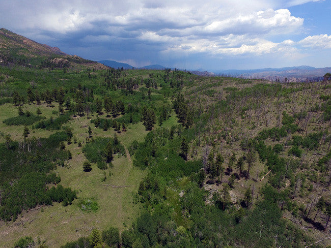 AROLLA Placer Mining Claim, Dorris Topaz, Park County, Colorado