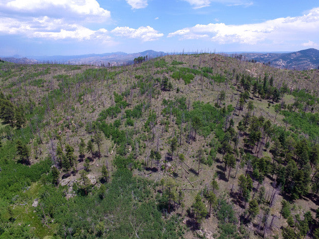 DAMMA MINE Placer Mining Claim, Dorris Topaz, Park County, Colorado