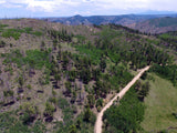 ALETSCH Placer Mining Claim, Dorris Topaz, Park County, Colorado