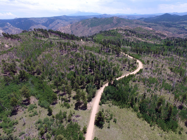 ALETSCH Placer Mining Claim, Dorris Topaz, Park County, Colorado