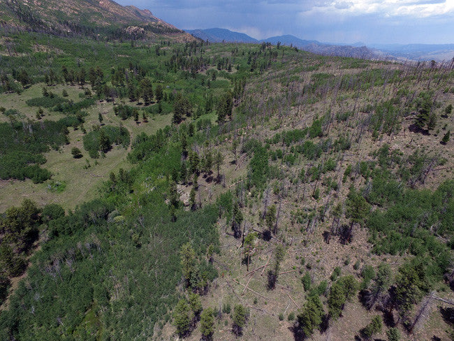 DAMMA MINE Placer Mining Claim, Dorris Topaz, Park County, Colorado