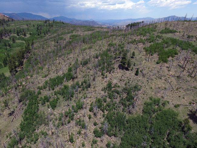 ALETSCH Placer Mining Claim, Dorris Topaz, Park County, Colorado