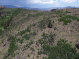 ALETSCH Placer Mining Claim, Dorris Topaz, Park County, Colorado