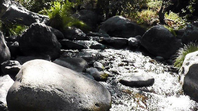 BLACK OAK Placer Mining Claim, Mineral King Mining District, Three Rivers, Tulare County, California