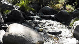 BLACK OAK Placer Mining Claim, Mineral King Mining District, Three Rivers, Tulare County, California