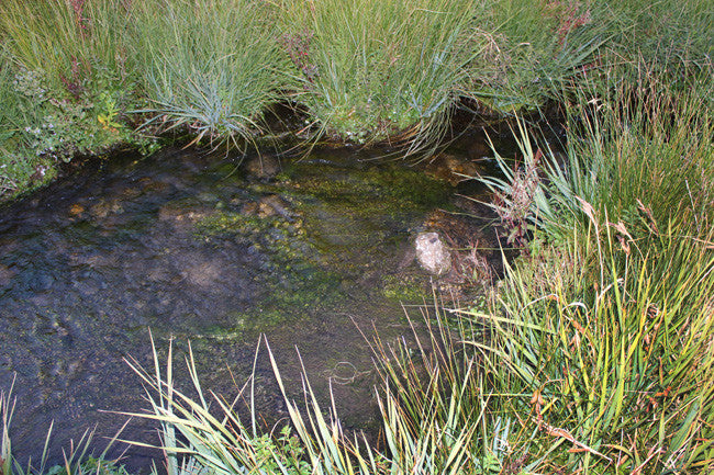 ABBEY GOLD Placer Mining Claim, Taylor Creek, Beaverhead County, Montana