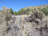 HARMONY MINE, Placer Claim, Pinto Creek, Washington County, Utah