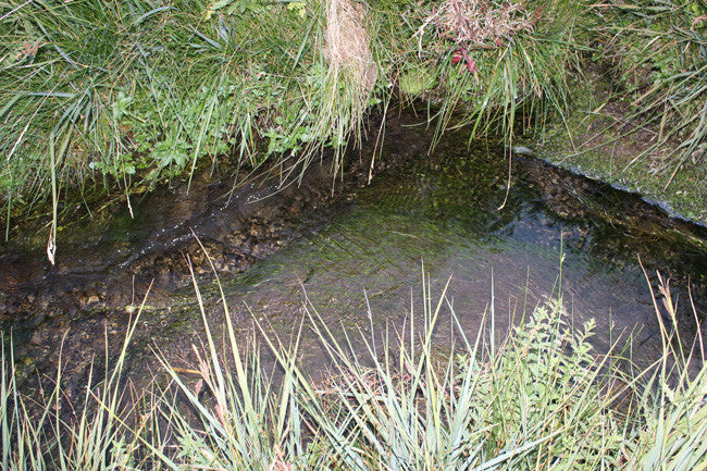 ABBEY GOLD Placer Mining Claim, Taylor Creek, Beaverhead County, Montana