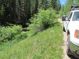 AURELIAN GOLD Placer Mining Claim, Gold Creek, Gunnison County, Colorado