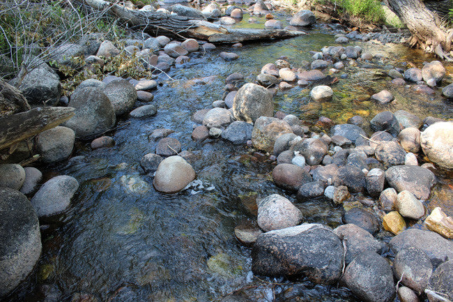 BRIDGER GOLD Placer Mining Claim, Tensleep Creek, Washakie County, Wyoming