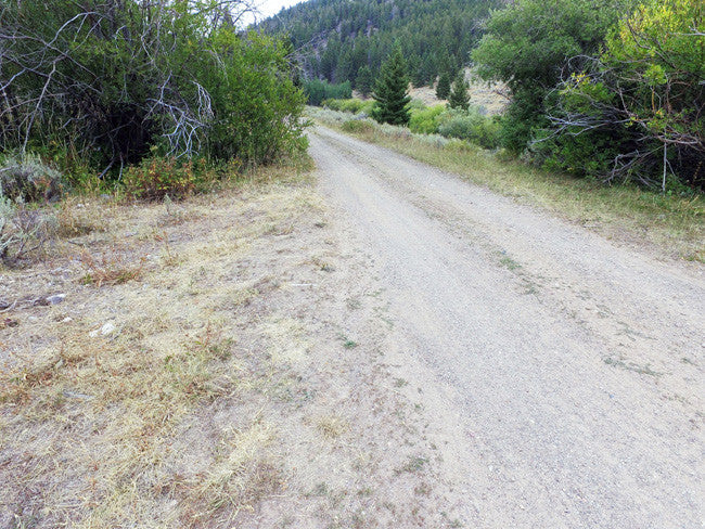 AGRICOLA GOLD Placer Mining Claim, French Creek, Beaverhead County, Montana