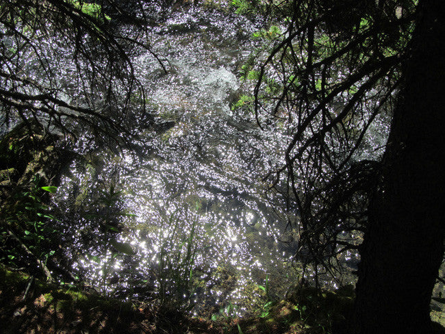 DIOR GOLD, Placer Mining Claim, N. Quartz Creek, Gunnison County, Colorado