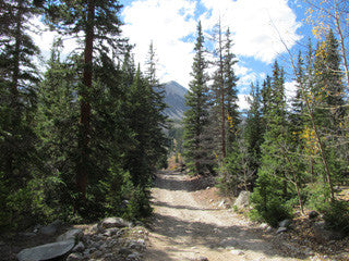 BLUE MOON Mine Placer Claim in Colorado, Mt Antero