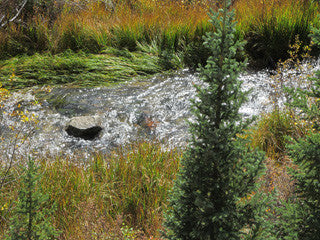 AQUA GEM Mine Placer Claim in Colorado