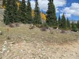 BLUE MOON Mine Placer Claim in Colorado, Mt Antero