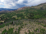 DAMMA MINE Placer Mining Claim, Dorris Topaz, Park County, Colorado
