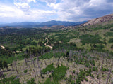 ALETSCH Placer Mining Claim, Dorris Topaz, Park County, Colorado