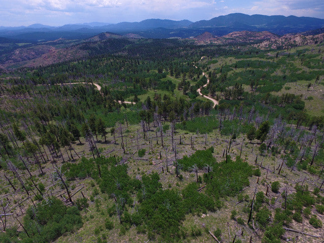 DAMMA MINE Placer Mining Claim, Dorris Topaz, Park County, Colorado