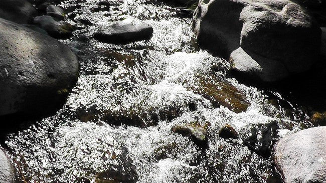 BLACK OAK Placer Mining Claim, Mineral King Mining District, Three Rivers, Tulare County, California