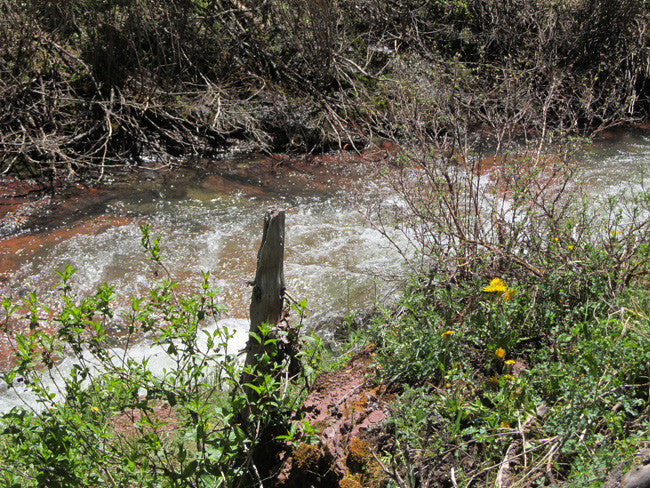 KING SOLOMON GOLD Placer Mining Claim, S. Fork Mineral Creek, San Juan County, Colorado