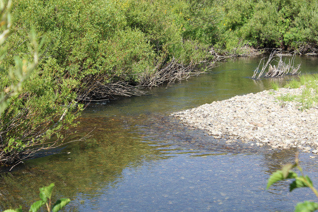 CROOKED GOLD Placer Mining Claim, Conant Creek, Fremont County, Idaho