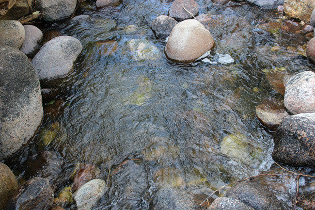 BRIDGER GOLD Placer Mining Claim, Tensleep Creek, Washakie County, Wyoming