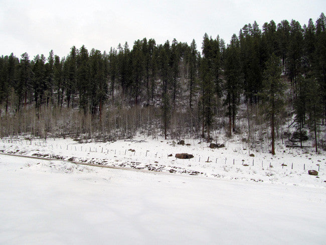 KANOWNA BELLE GOLD Placer Mining Claim, Cottonwood Creek, Dolores County, Colorado