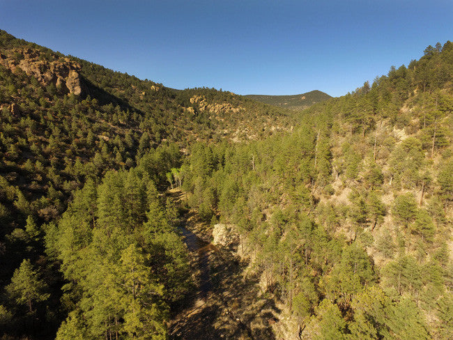 APLITE GOLD, Placer Mining Claim, Bear Creek, Grant County, New Mexico