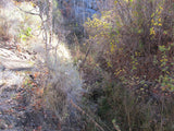 BLACK SMOKY QUARTZ, Placer Mining Claim, Rock Creek, Beaver County, Utah