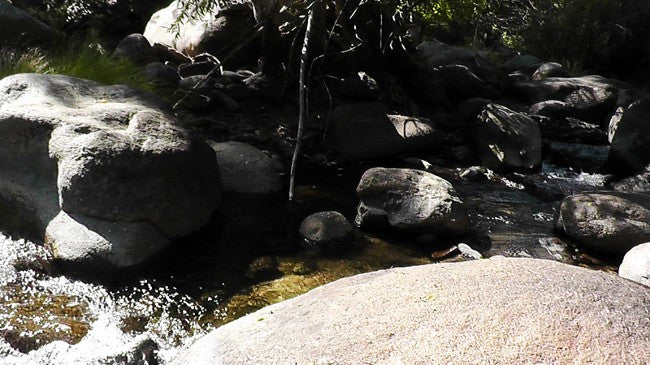 BLACK OAK Placer Mining Claim, Mineral King Mining District, Three Rivers, Tulare County, California