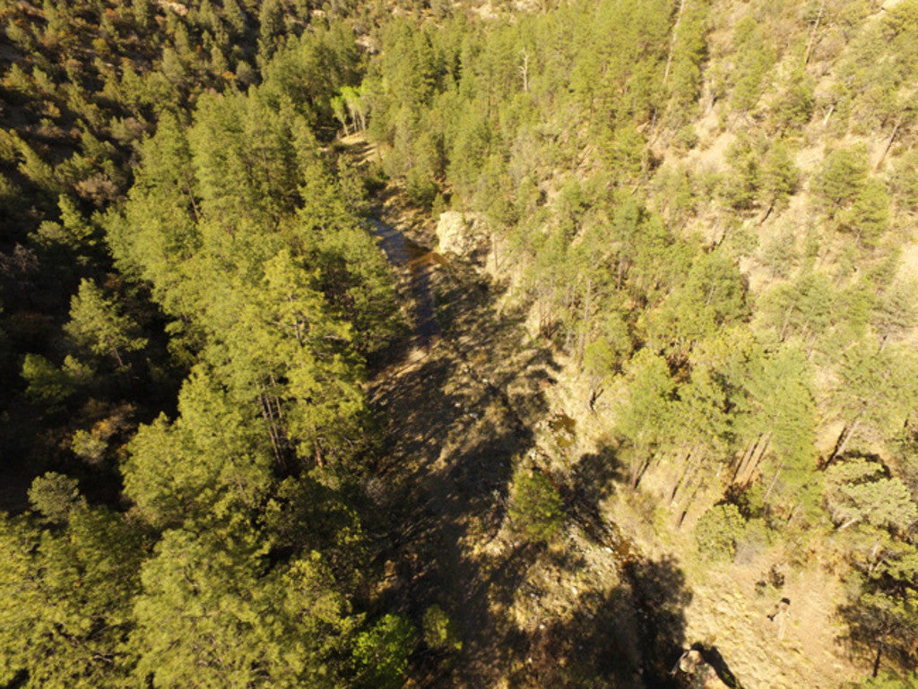APLITE GOLD, Placer Mining Claim, Bear Creek, Grant County, New Mexico