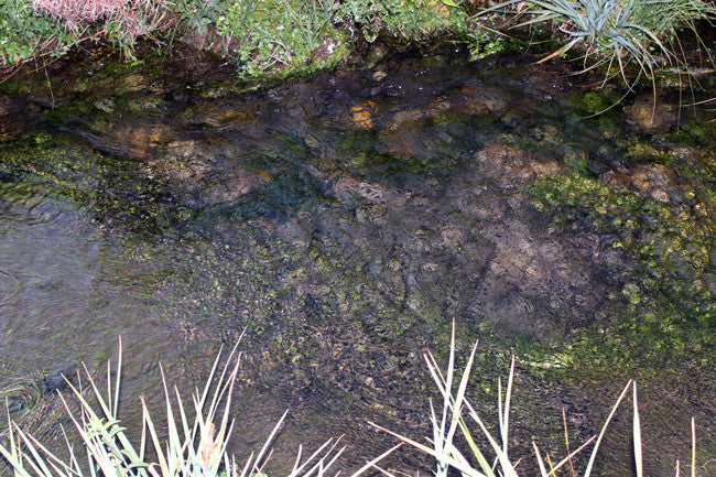 AINGEAL GOLD Placer Mining Claim, Taylor Creek, Beaverhead County, Montana