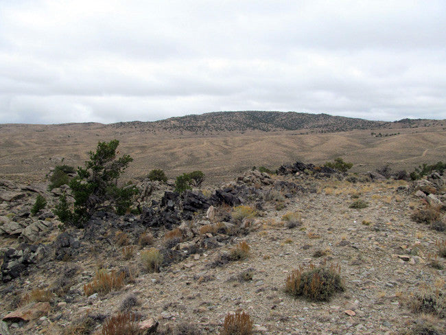 DUCK BONE JADE, Placer Mining Claim, Big Horn Jade, Fremont County, Wyoming