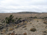 DUCK BONE JADE, Placer Mining Claim, Big Horn Jade, Fremont County, Wyoming