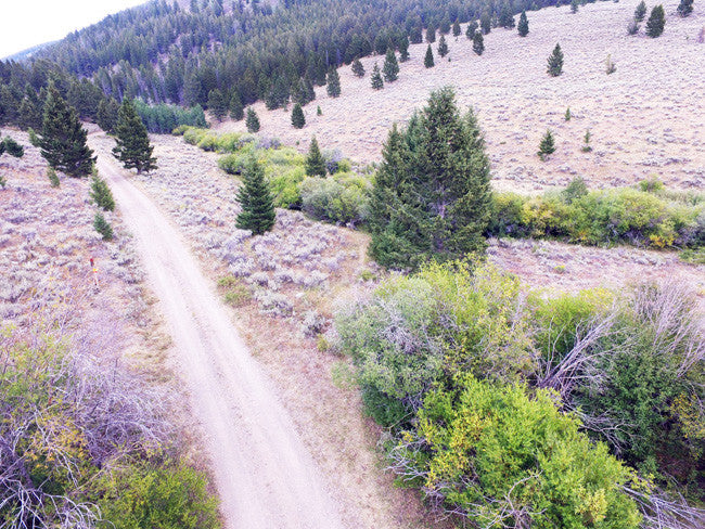 BAANDERS GOLD Placer Mining Claim, French Creek, Beaverhead County, Montana