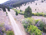 BAIRD GOLD Placer Mining Claim, French Creek, Beaverhead County, Montana