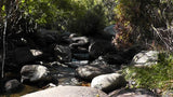 BLACK OAK Placer Mining Claim, Mineral King Mining District, Three Rivers, Tulare County, California