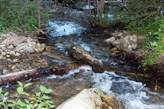 ALEXANDER GOLD Placer Mining Claim, S. Meadow Creek, Madison County, Montana