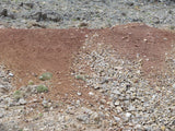 LEPRECHAUN GOLD MINE, Lode Mining Claim, Fallon, Churchill County, Nevada