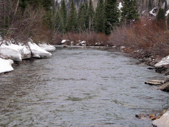 DOVE SEAT GOLD Placer Mining Claim, Dolores River, Dolores County, Colorado