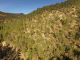 APLITE GOLD, Placer Mining Claim, Bear Creek, Grant County, New Mexico