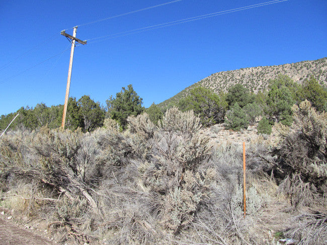 HARMONY MINE, Placer Claim, Pinto Creek, Washington County, Utah