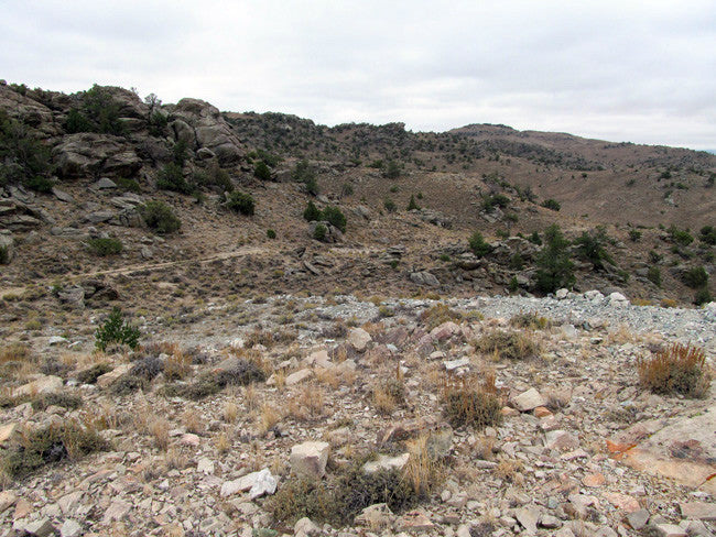 DUCK BONE JADE, Placer Mining Claim, Big Horn Jade, Fremont County, Wyoming