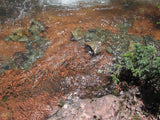 CUNNINGHAM GOLD Placer Mining Claim, S. Fork Mineral Creek, San Juan County, Colorado