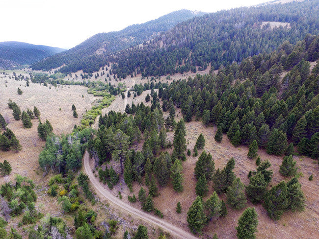 AGRICOLA GOLD Placer Mining Claim, French Creek, Beaverhead County, Montana