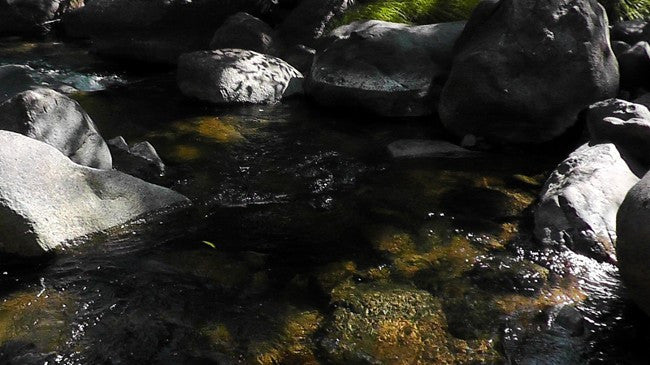 BLACK OAK Placer Mining Claim, Mineral King Mining District, Three Rivers, Tulare County, California