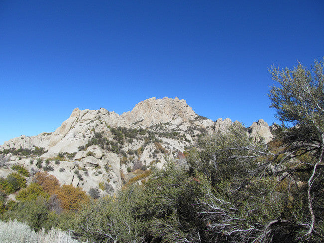 GRIMSEL SMOKY, Placer Mining Claim, Rock Creek, Beaver County, Utah