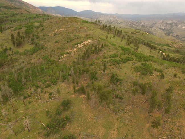 AROLLA Placer Mining Claim, Dorris Topaz, Park County, Colorado
